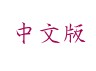 中文版 Chinese Version